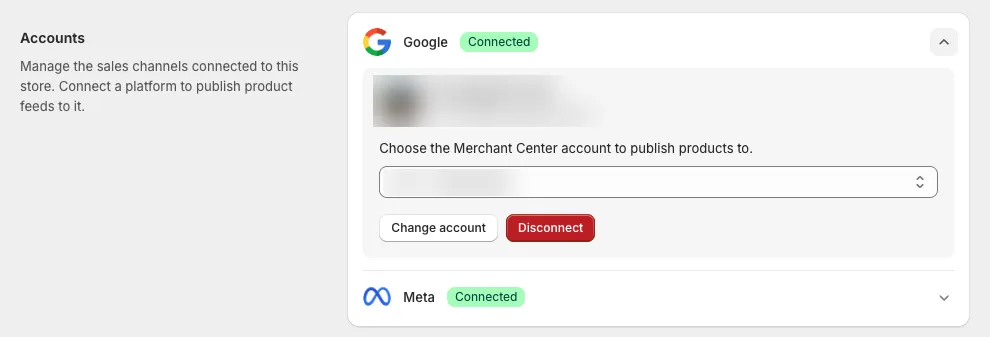 The Accounts section with the Google and Meta rows and their status badges